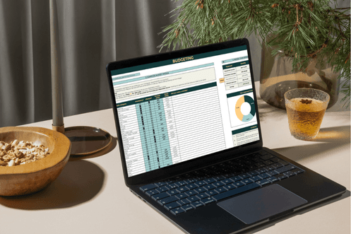Money Luna budgeting tool open on a laptop